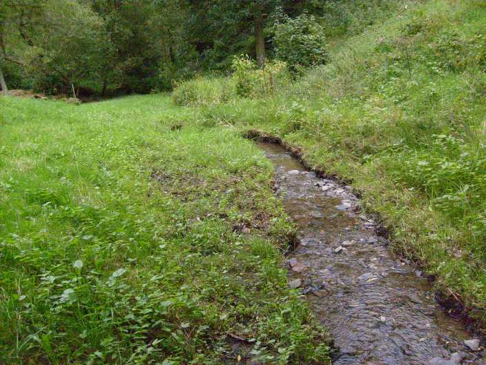 Normalwasser ein paar Tage sp�ter
